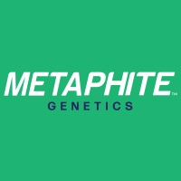 Metaphite logo